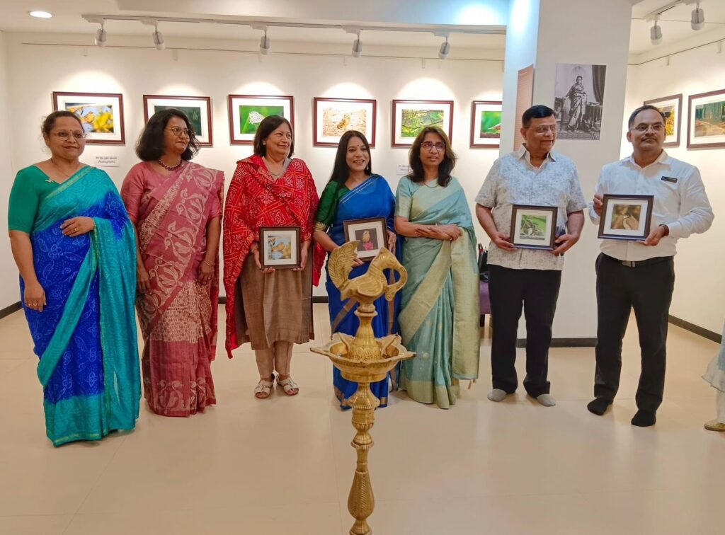 સતત કામમાં પણ સમય કાઢી પોતાની નેચર ફોટોગ્રાફી ના કૌશલ્ય ને નીખારતી શહેરની ત્રણ મહિલાઓના ચિત્રો નું પ્રદર્શન